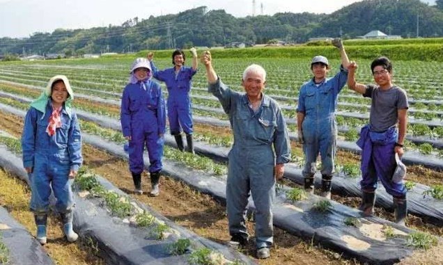 日本勞務(wù)派遣農(nóng)業(yè)類、食品加工、建筑業(yè)、電子業(yè)招聘